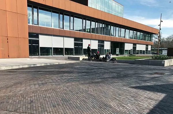 Тротуарная клинкерная брусчатка Gotland blau-braun Schmolz 292x71x71 ABC Klinkergruppe Brick, изобр. 6