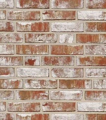 Облицовочный кирпич GEESTBRAND Бело-коричневый пестрый (braunweiß-bunt) ручн.форм. (handform), 240x115x71 мм, Röben