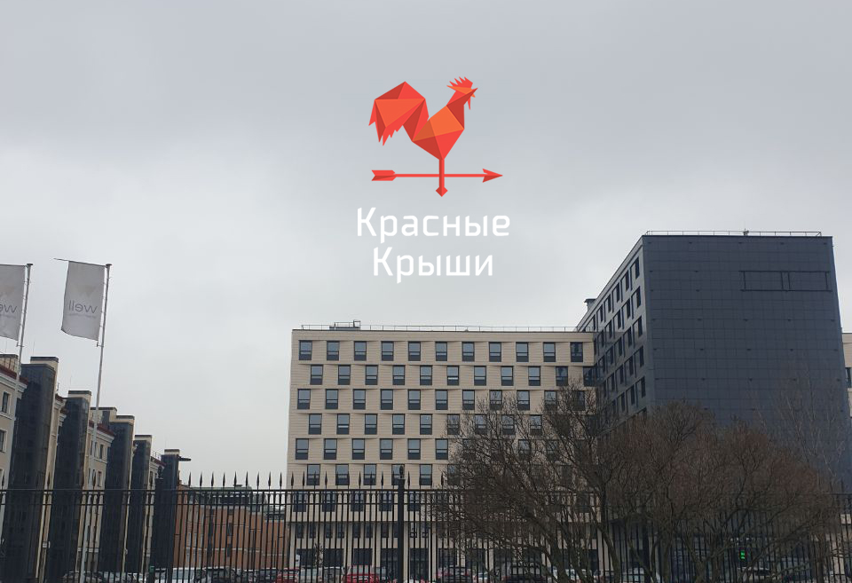 с лого.jpg