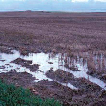 wetsoils_solssatures_3.jpg wetsoils_solssatures_3.jpg